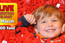 press-release-bricklive