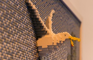seagul              